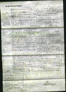 Court of Common Pleas - Ann Morgan and Elizabeth Price-Original Ancestry