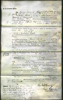 Court of Common Pleas - Eliza Lymer-Original Ancestry