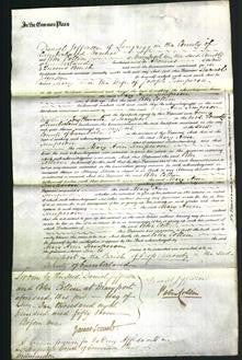 Court of Common Pleas - Mary Ann Temperon-Original Ancestry