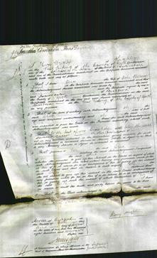 Court of Common Pleas - Grace Stead-Original Ancestry