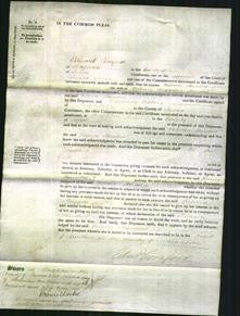 Court of Common Pleas - Rebecca Standert-Original Ancestry