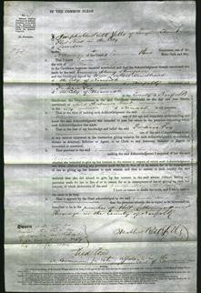 Court of Common Pleas - Emma Mary Stimpson-Original Ancestry