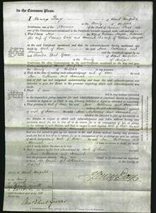 Court of Common Pleas - Ann Morgan, Catherine Bliss, Hannah Morgan-Original Ancestry