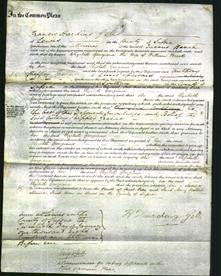 Court of Common Pleas - Elizabeth Georgiana Verrall-Original Ancestry