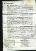 Court of Common Pleas - Laura Hughes-Original Ancestry