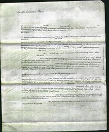 Court of Common Pleas - Charlotte Williamson-Original Ancestry