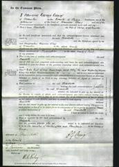 Court of Common Pleas - Charlotte Watkinson-Original Ancestry