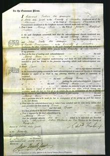 Court of Common Pleas - Mary Ann Snelson-Original Ancestry