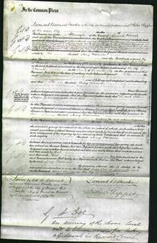 Court of Common Pleas - Mary Wiseman-Original Ancestry