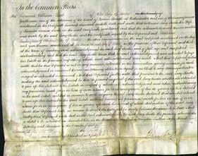 Court of Common Pleas - Lucy Rocke-Original Ancestry