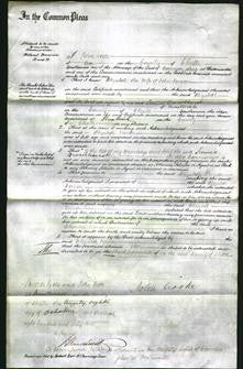 Court of Common Pleas - Elizabeth Vernon-Original Ancestry