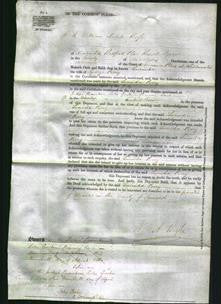 Court of Common Pleas - Lucinda Perry-Original Ancestry