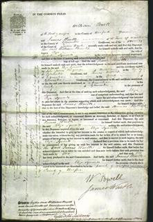 Court of Common Pleas - Eliza Symonds-Original Ancestry