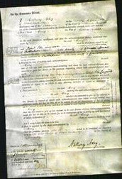 Court of Common Pleas - Mary Biddle #3-Original Ancestry