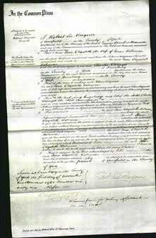 Court of Commonn Pleas - Jane Elizabeth Robinson-Original Ancestry