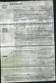 Court of Common Pleas - Matilda Phillips-Original Ancestry