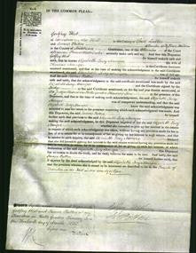 Court of Common Pleas - Elizabeth Lucy Manger-Original Ancestry