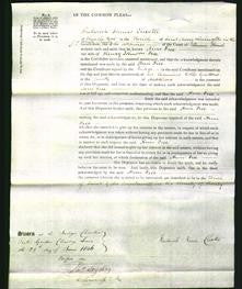 Court of Common Pleas - Ann Fice-Original Ancestry