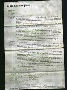 Court of Common Pleas - Sarah Marchant-Original Ancestry