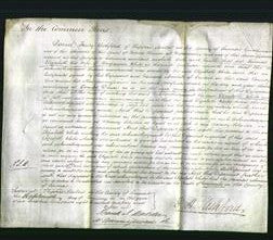 Court of Common Pleas - Elizabeth White-Original Ancestry