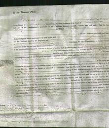 Court of Common Pleas - Mary Whewell-Original Ancestry