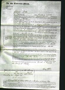 Court of Common Pleas - Martha Parker-Original Ancestry