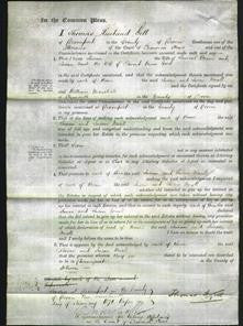 Court of Common Pleas - Susan Cram and Susan Miall Gard-Original Ancestry