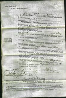 Court of Common Pleas - Mary Stoner Hodges-Original Ancestry