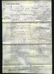 Court of Common Pleas - Elizabeth Helen Rose O'Connell-Original Ancestry