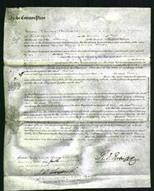 Court of Common Pleas - Eleanor Thornton-Original Ancestry