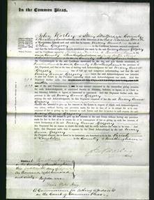 Court of Common Pleas - Mary Anne Gregory-Original Ancestry