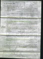 Court of Common Pleas - Sarah Townsend-Original Ancestry