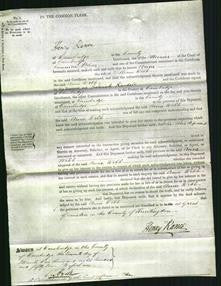 Court of Common Pleas - Ann Webb-Original Ancestry