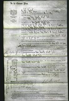 Court of Common Pleas - Dora Isabella Holwall Tyler-Original Ancestry