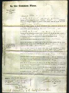 Court of Common Pleas - Mary Nicklinson-Original Ancestry