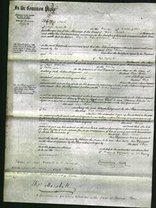 Court of Common Pleas - Eliza Hearn-Original Ancestry