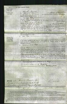 Court of Common Pleas - Eliza Clark-Original Ancestry