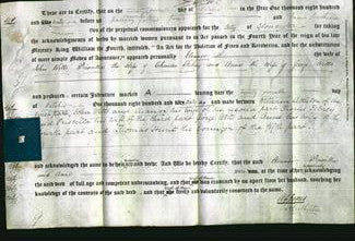 Deed by Married Women - Eleanor Witts, Priscilla Febrey and Anne Witts-Original Ancestry