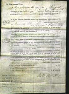 Court of Common Pleas - Ellen Dart-Original Ancestry