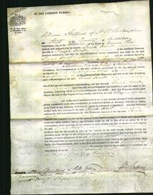 Court of Common Pleas - Sarah Hort-Original Ancestry