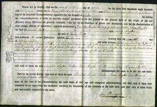 Deed by Married Women - Charlotte Hayler Parker, Jane Hayler Scutt and Mary Hayler Scutt-Original Ancestry