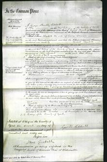 Court of Common Pleas - Elizabeth Demaine-Original Ancestry