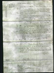 Court of Common Pleas - Louisa Major, Harriet Peterson, Amelia Ann Cope, Matilda Ann Stone-Original Ancestry