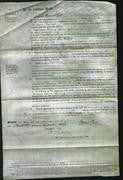 Court of Common Pleas - Mary Jane Young-Original Ancestry