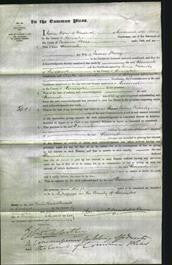 Court of Common Pleas - Hannah Thong-Original Ancestry