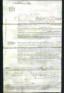 Court of Common Pleas - Harriet Miriam Smith-Original Ancestry