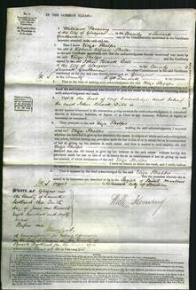 Court of Common Pleas - Eliza Phelps-Original Ancestry