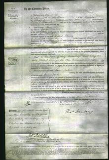 Court of Common Pleas - Ann Deakin-Original Ancestry