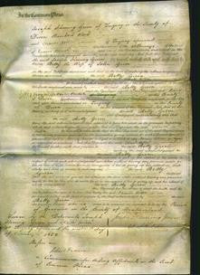 Court of Common Pleas - Betty Green-Original Ancestry