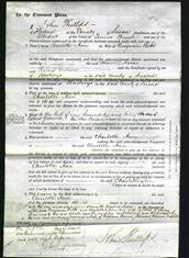 Court of Common Pleas - Charlotte Ann Betts-Original Ancestry